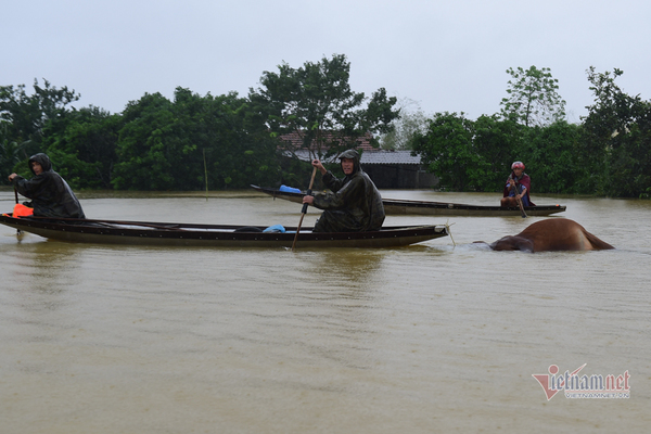 Bộ Y tế giao 6 bệnh viện tuyến trung ương hỗ trợ y tế cho vùng lũ