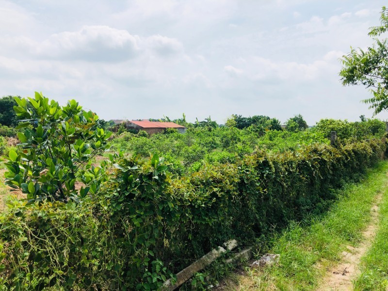 Real estate investors leave cities for countryside to start homestays