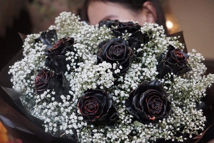 Tiết lộ bất ngờ về hoa hồng đen giá 500.000 đồng/bông được đại gia Hà thành săn lùng