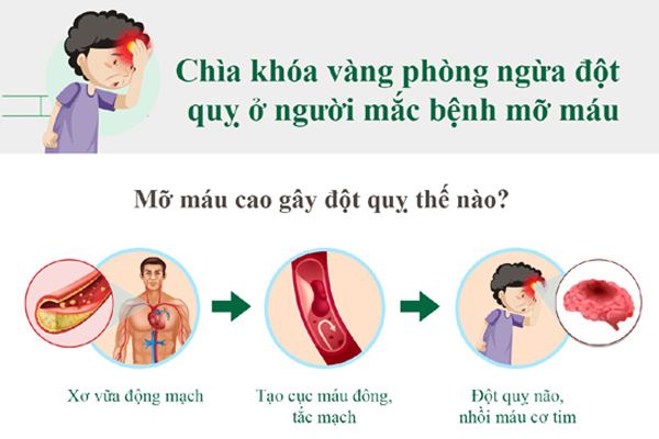 Chìa khóa phòng ngừa đột quỵ ở người mỡ máu cao