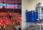 Làm máy lọc nước, chăm 4.000 con gà giống tặng bà con miền Trung