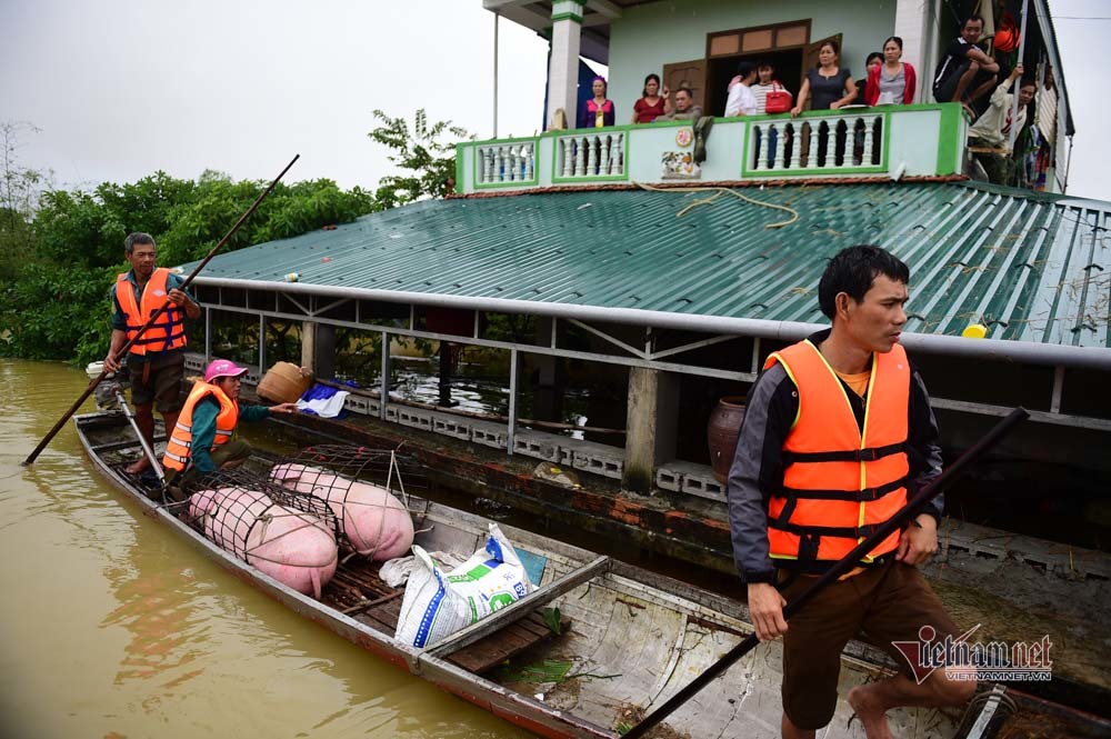 Nhiều nước thăm hỏi tình hình lũ lụt ở Việt Nam