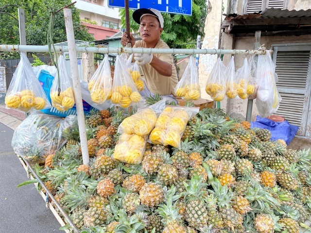 Dứa 'tí hon', bé như quả trứng, ngày bán cả trăm cân