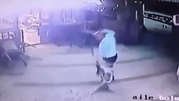 Người đàn ông dắt theo chó choáng váng vì bị mèo tấn công