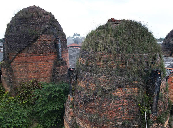 Awakening the potential of “Vinh Long Red Kingdom”