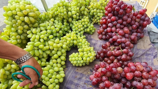 5 loại nho siêu rẻ, siêu ngọt đang 'làm mưa làm gió' trên thị trường: Bật mí nguồn gốc