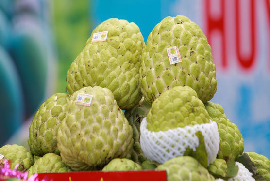 Đặc sản na khổng lồ Lạng Sơn 