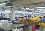 EVFTA brings myriad opportunities for Vietnam exporters