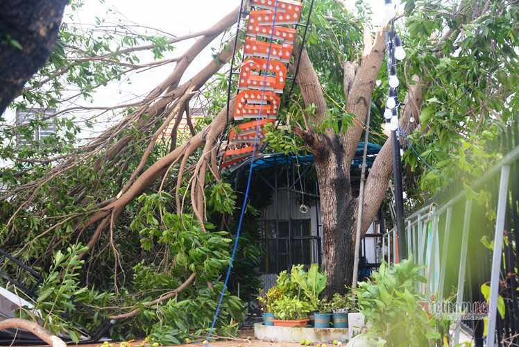 Sau bão số 9, đường phố Đà Nẵng, Quảng Nam tan hoang không ngờ