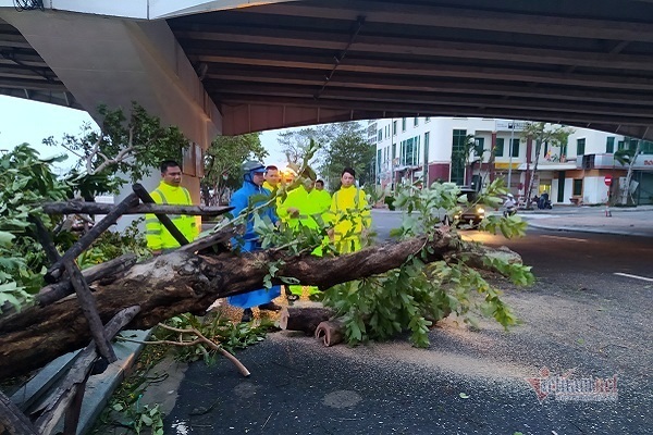 Sau bão số 9, đường phố Đà Nẵng, Quảng Nam tan hoang không ngờ