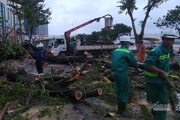 Sau bão số 9, đường phố Đà Nẵng, Quảng Nam tan hoang không ngờ