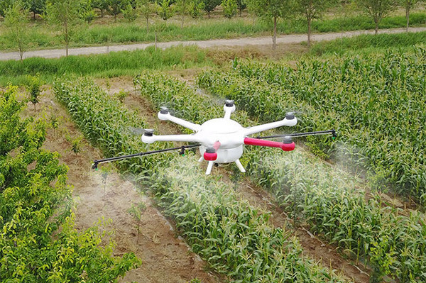 AI-based drones help analyze health of crops