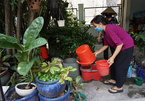 Neighbourhood clean-up groups raise awareness about infectious diseases