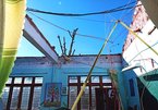 Bốn học sinh bị vùi chết, 300 trường học ở Quảng Nam tan hoang sau bão