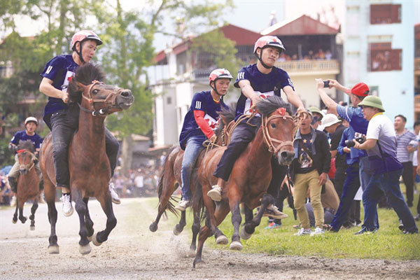 Bac Ha Winter Festival