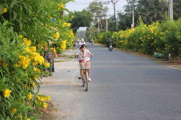 Xã NTM kiểu mẫu Bình Lợi: Bộ máy chính quyền địa phương xông vào làm cùng người dân