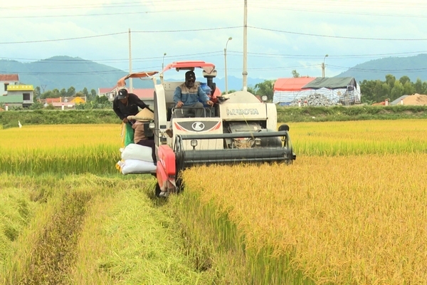 Thị xã Ba Đồn hướng đến nhóm sản phẩm hữu cơ trong xây dựng NTM