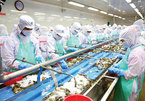 Rising shrimp exports require responsibility