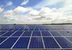 Renewable energy sector may reach $714 billion