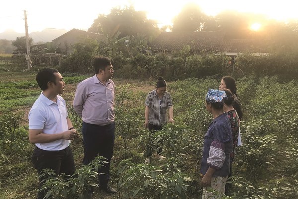 Hòa An đẩy mạnh tái cơ cấu nông nghiệp gắn với xây dựng nông thôn mới