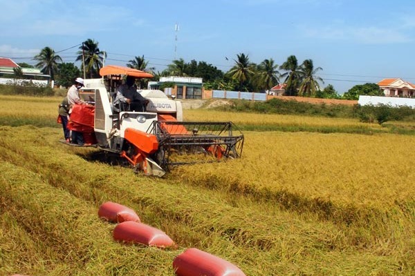 Mô hình phát triển sinh kế nông-lâm kết hợp ở Ninh Thuận