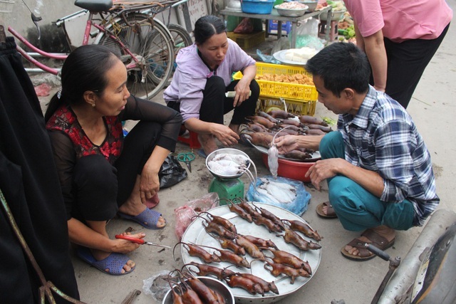 Kỳ lạ làng 'nghiện' ăn thịt chuột ở Hà Nội, trẻ em và phụ nữ đều thích mê