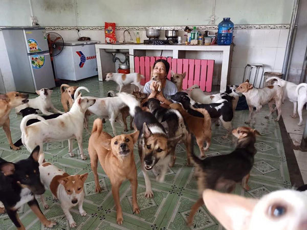 Woman dedicates her life to stray dogs
