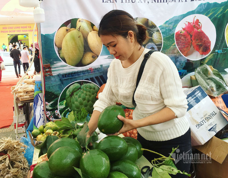 Quả bơ khổng lồ nặng 2 kg, hàng trên núi về gây sốt Hà thành