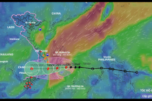 Biển Đông náo động bão số 12, nguy cơ xuất hiện bão số 13