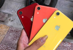 iPhone XR returns to Vietnam with super cheap price