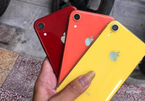 iPhone XR quay trở lại Việt Nam với giá siêu rẻ