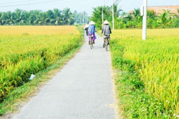 Bình Phước đẩy mạnh các phong trào thi đua xây dựng NTM