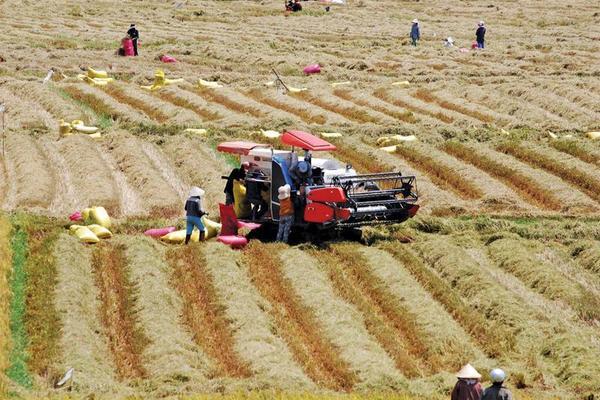 Phú Hòa quyết đạt chuẩn NTM nâng cao