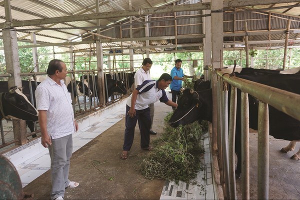 Thành tựu đáng khích lệ của nông thôn mới Mỹ Xuyên