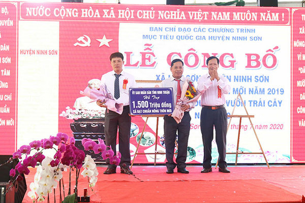 Xã Lâm Sơn cán đích chuẩn nông thôn mới