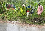 Sạt lở đất ở Quảng Nam, người phụ nữ bị vùi chết