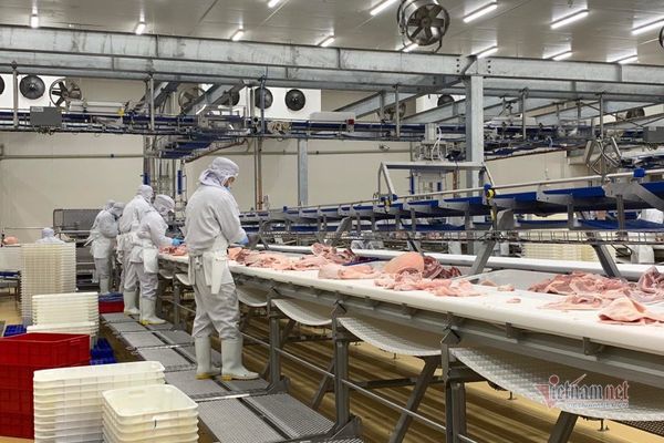 Khơi thông điểm nghẽn để phát triển doanh nghiệp tư nhân
