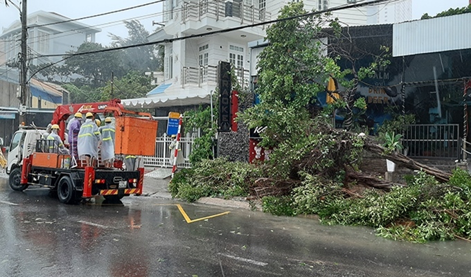 Bão số 12 quật đổ ô tô ở Phú Yên, hàng loạt cây xanh bật gốc