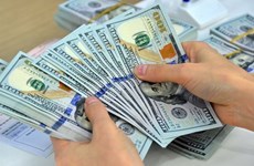 Remittances set record of US$18.1 billion
