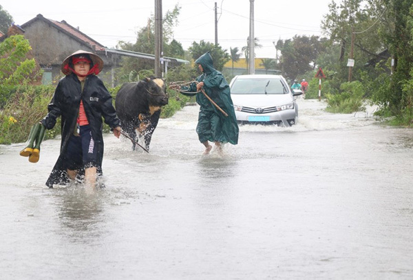 Storm Etau inundates, isolates urban areas in Phu Yen, Dak Lak