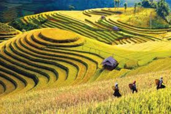 Phong trào “Chống rác thải nhựa” ở NTM Mù Cang Chải