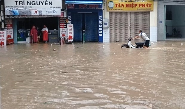 VIETNAM NEWS NOVEMBER 11 (updated hourly)