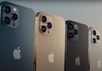 Four iPhone 12 models to hit shelves in Vietnam on November 27