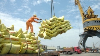 VIETNAM BUSINESS NEWS HEADLINES NOVEMBER 15