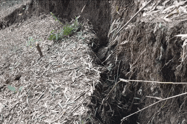 Chân núi sụt toác hình vòng cung, di dời hàng chục hộ dân ở Nghệ An