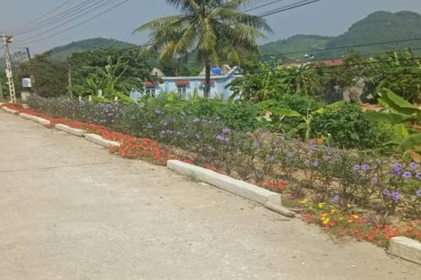 Hà Sơn xây dựng nông thôn mới đến đâu, chắc đến đó