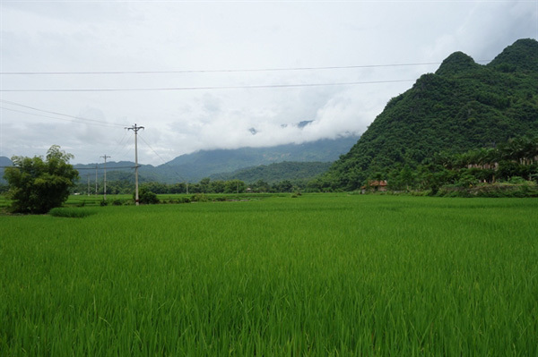 VN’s updated climate goals aim at maximising the co-benefits of climate action