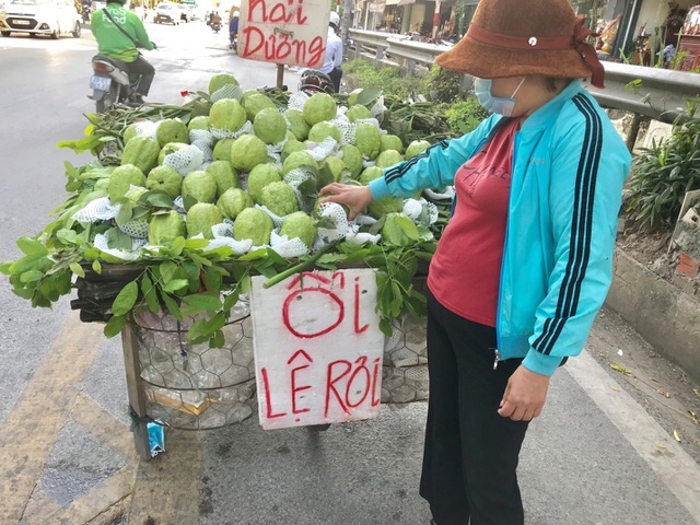 Lạ lùng ổi khổng lồ nặng 1,5kg gắn mác 'Lệ Rơi' hút khách Hà Nội