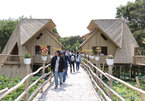 Walking around Tra Su cajuput forest in flooding season