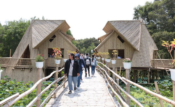 Walking around Tra Su cajuput forest in flooding season
